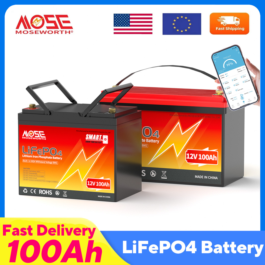 Lifepo4 12V 100Ah Bms Bluetooth - MOSEWORTH LiFePO4 12V 100Ah Akku 12,8V