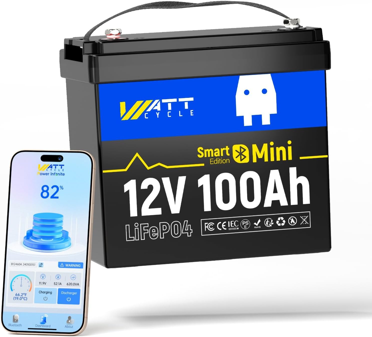 12V 100Ah Mini LiFePO4 Batteri – Lifepo4 12V 100Ah Bms Bluetooth Bewertung und Preis